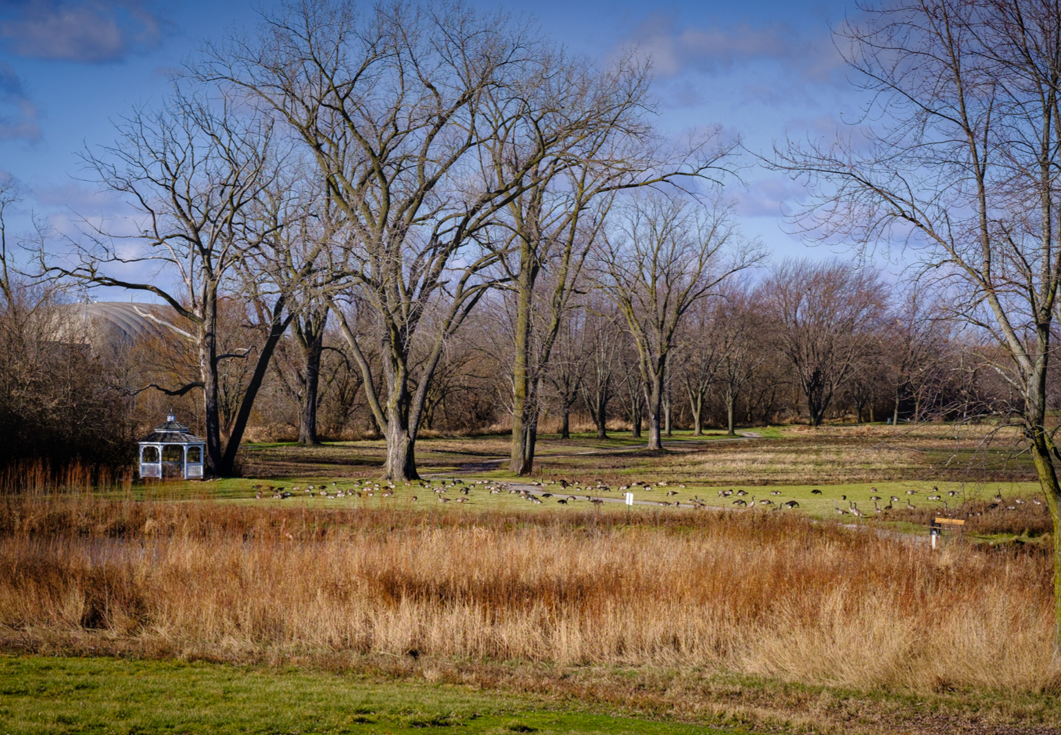 Highland Park Country Club picturesque open field perfect for weddings, corporate, and social events